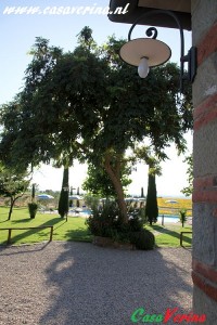rosa_dei_venti_014